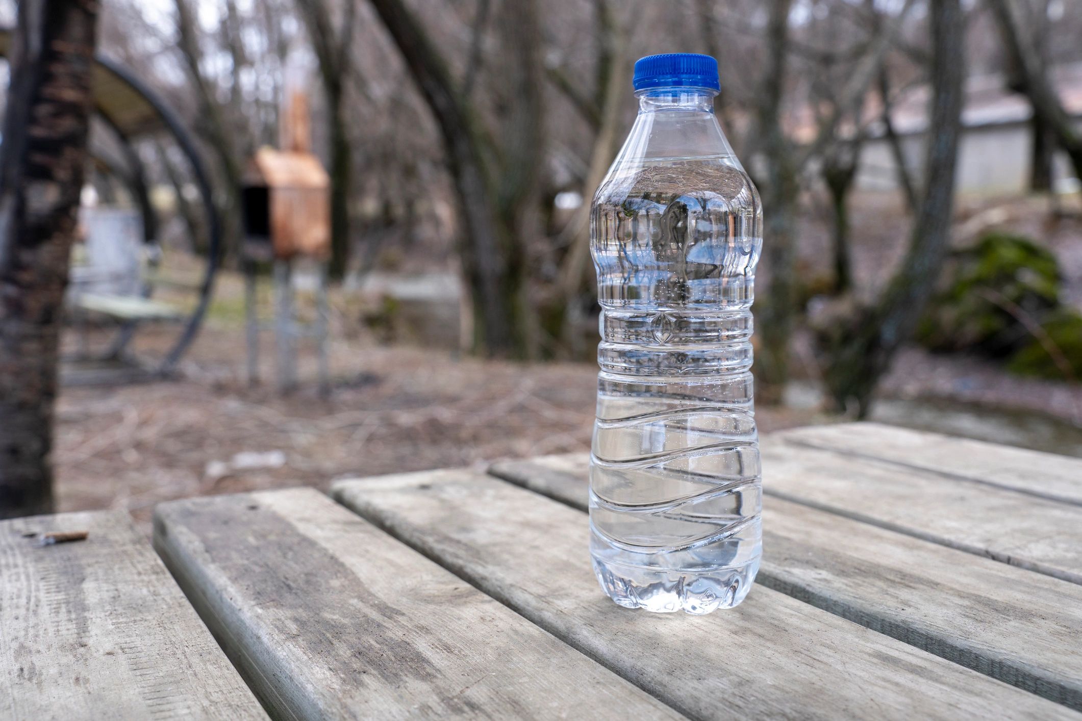 branded water bottle mockup club logo